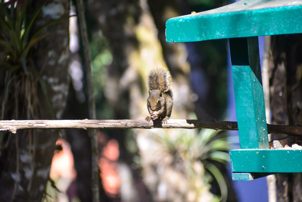 Jardim Da Mantiqueira 賓館 *